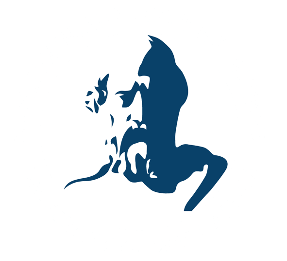 Πανεπιστήμιο Δυτικής Αττικής